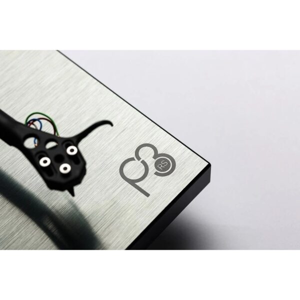Rega Planar 3 RS - Afbeelding 2