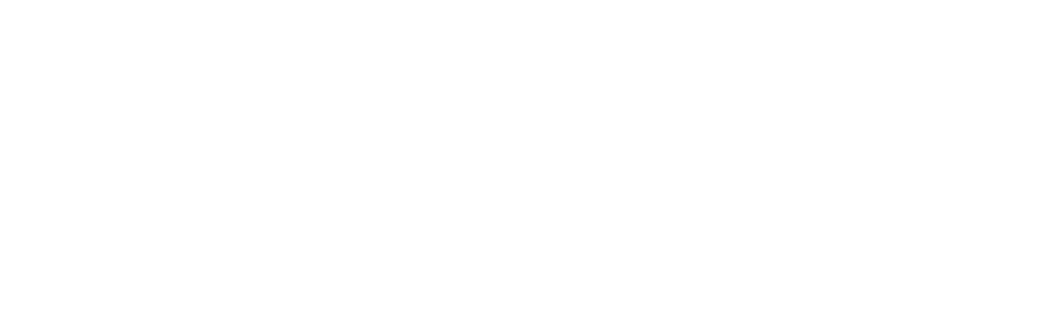 logo van De Groef Audio